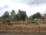 �30,000 Salford Community Forest Garden